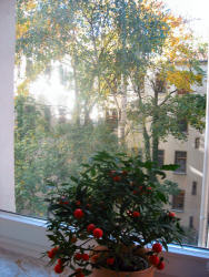 Berlin Ferienwohnung Gerth : Hofblick von der K�che