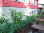 Berlin-Treptow: Pension Kalauch